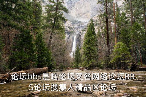 论坛bbs是啥论坛又名网络论坛BBS论坛搜集人精品区论坛