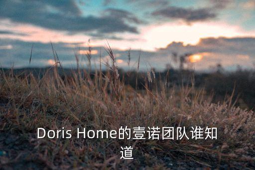 Doris Home的壹诺团队谁知道