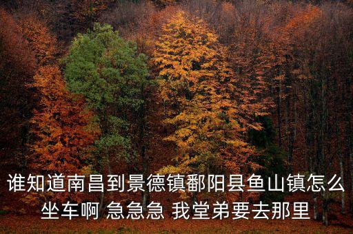 鱼山镇，景德镇渔山镇是什么区