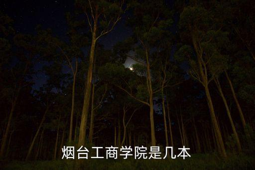 烟台工商学院是几本