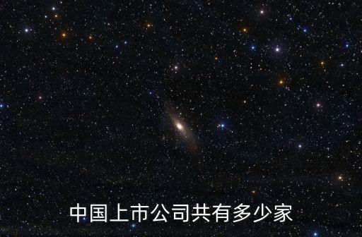 中国上市公司共有多少家