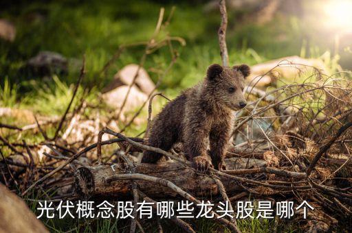 光伏概念股有哪些龙头股是哪个