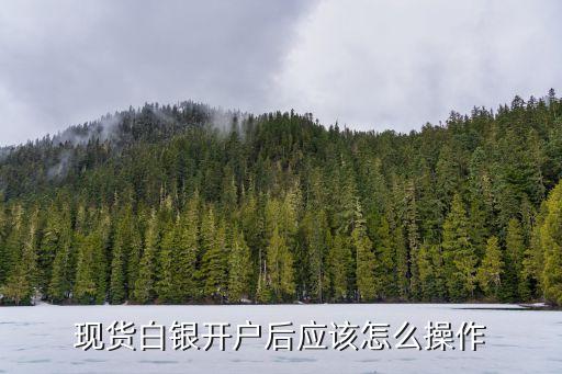 现货白银开户后应该怎么操作