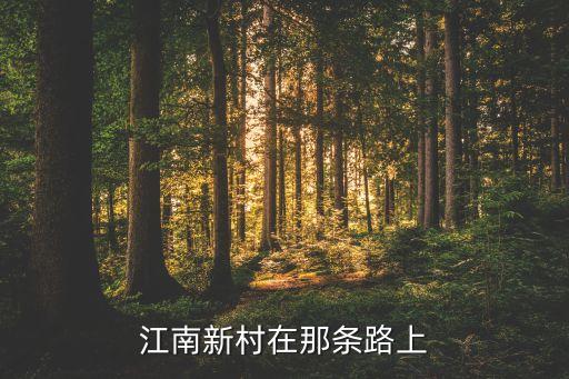江南新村在那条路上