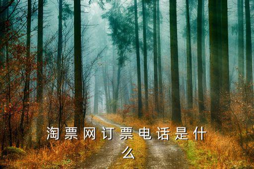 淘 票 网 订 票 电 话 是 什 么