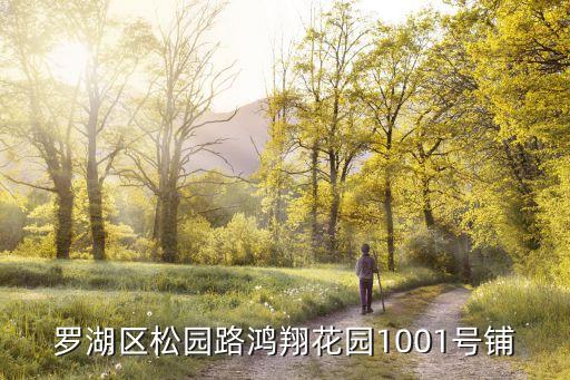 罗湖区松园路鸿翔花园1001号铺