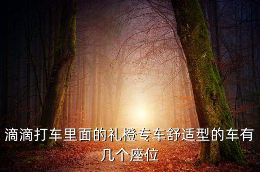 滴滴打车里面的礼橙专车舒适型的车有几个座位