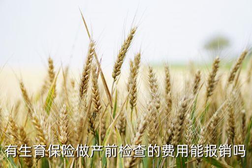 有生育保险做产前检查的费用能报销吗