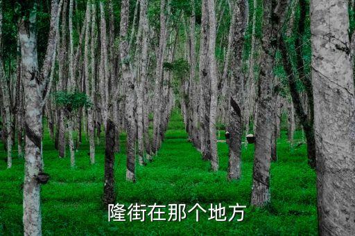 隆街在那个地方