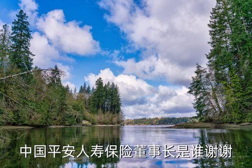 中国平安人寿保险董事长是谁谢谢