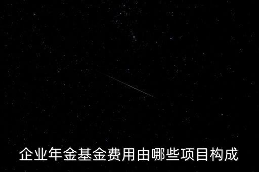 企业年金基金费用由哪些项目构成