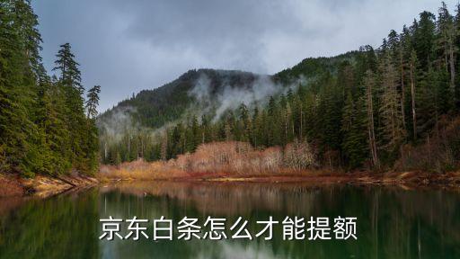 京东白条怎么才能提额