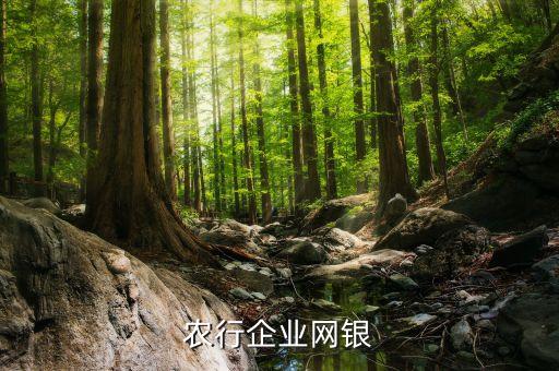农业银行企业网银登录，农业银行的网银怎么登录急急急