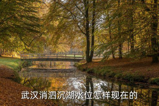 武汉消泗沉湖水位怎样现在的