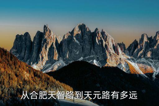 从合肥天智路到天元路有多远
