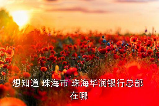想知道 珠海市 珠海华润银行总部 在哪