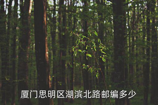 厦门思明区湖滨北路邮编多少