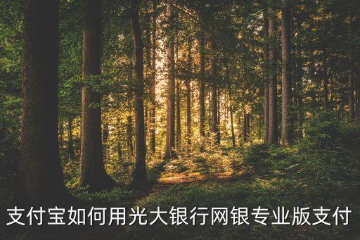 支付宝如何用光大银行网银专业版支付