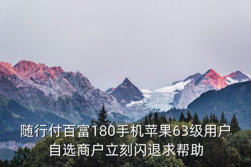 随行付百富180手机苹果63级用户自选商户立刻闪退求帮助