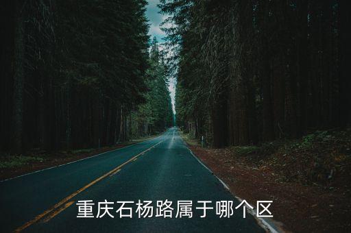 重庆石杨路属于哪个区