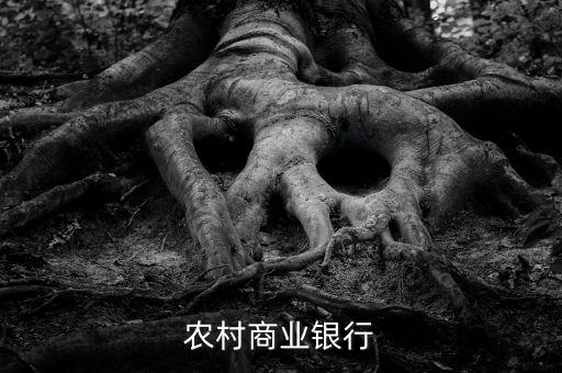 农村商业银行