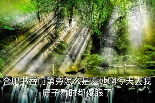 合肥书香门第旁怎么是墓地啊今天去我房子看时都傻眼了