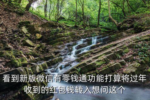 看到新版微信有零钱通功能打算将过年收到的红包钱转入想问这个