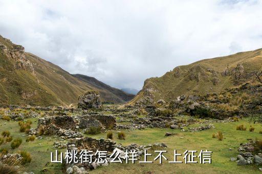 山桃街怎么样上不上征信