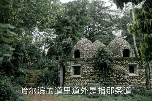 哈尔滨的道里道外是指那条道