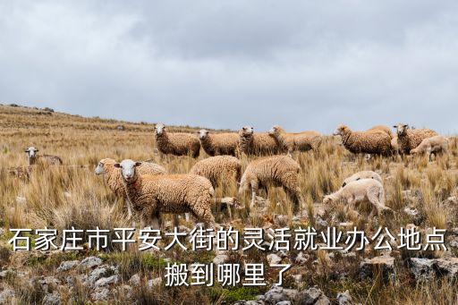 平安大街，临西平安大街是哪里