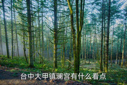 台中大甲镇澜宫有什么看点
