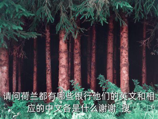 请问荷兰都有哪些银行他们的英文和相应的中文各是什么谢谢  搜