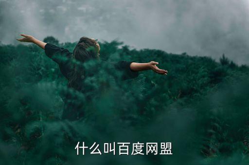 百度网盟，百度联盟