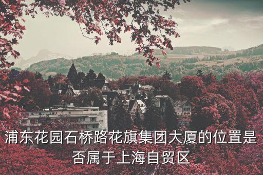 上海花旗集团大厦，浦东花园石桥路花旗集团大厦的位置是否属于上海自贸区