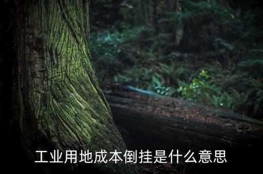 成本倒挂，会计中的成本倒挂是怎么回事呀