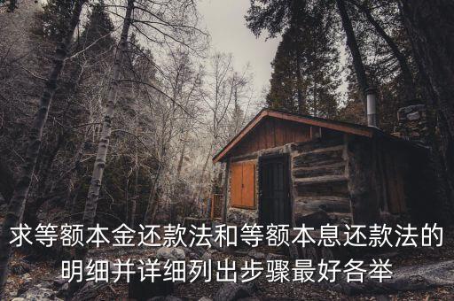 求等额本金还款法和等额本息还款法的明细并详细列出步骤最好各举