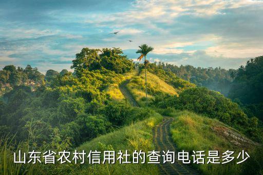 山东省农村信用社的查询电话是多少