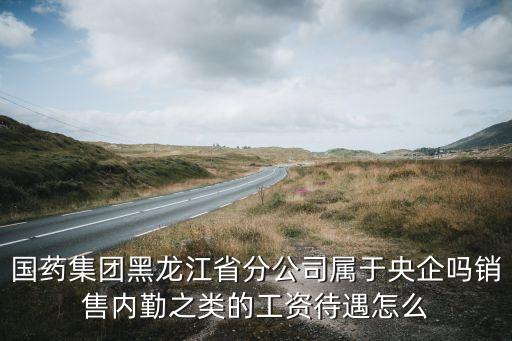 国药集团黑龙江省分公司属于央企吗销售内勤之类的工资待遇怎么