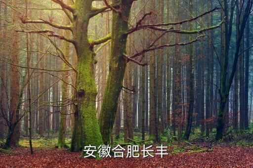 安徽合肥长丰