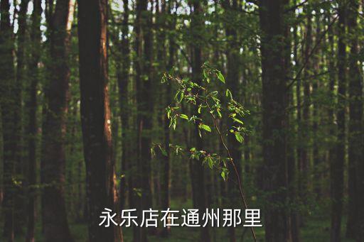 永乐店在通州那里