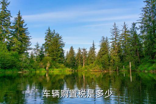 车辆购置税是多少