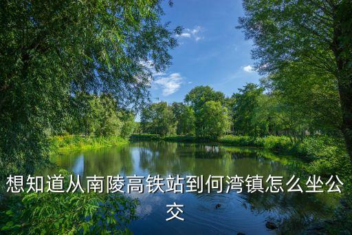 想知道从南陵高铁站到何湾镇怎么坐公交