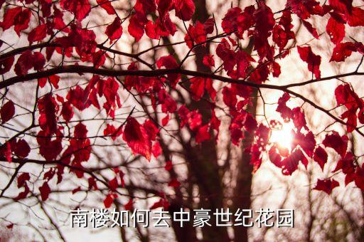 中豪世纪花园，南楼如何去中豪世纪花园