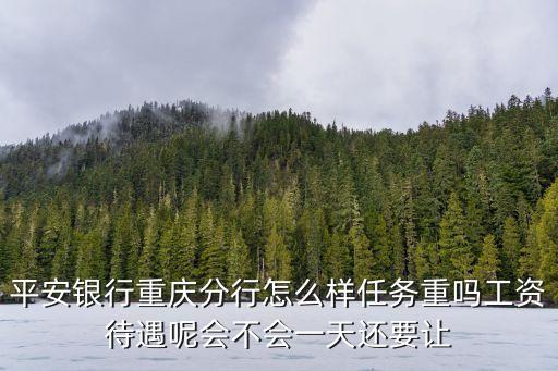 平安银行重庆分行怎么样任务重吗工资待遇呢会不会一天还要让