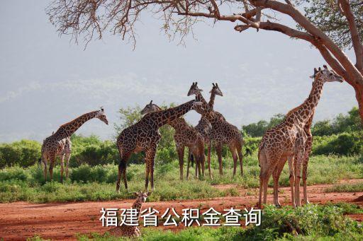 福建住房公积金，福建省直单位住房公积金