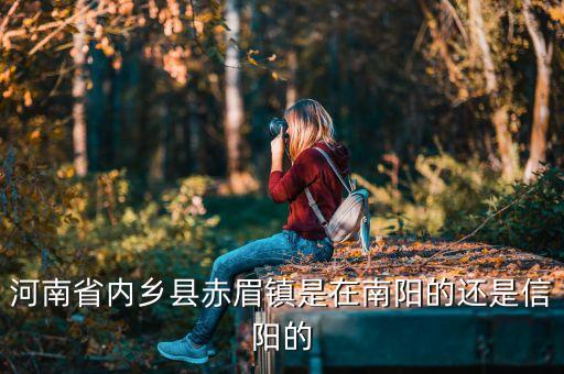 河南省内乡县赤眉镇是在南阳的还是信阳的