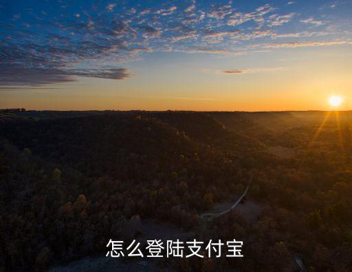 企业支付宝登录，如何登陆支付宝