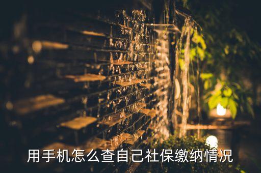 用手机怎么查自己社保缴纳情况