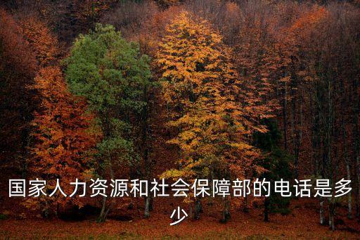 社会保障局电话，社保中心电话是多少