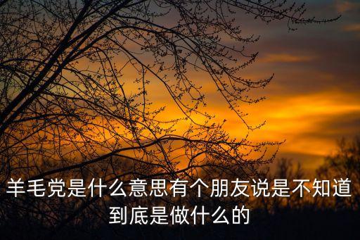 羊毛客，羊毛党是什么意思